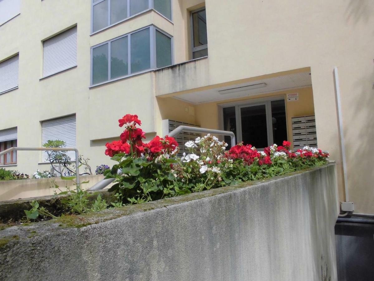 Solo Tuo Daire Mestre Dış mekan fotoğraf